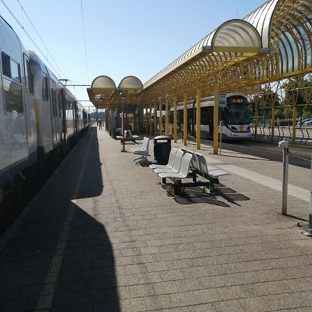 Vakantie Aan Zee De Panne Eksteriør bilde